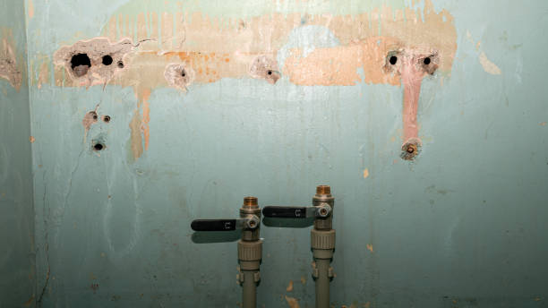 Reliable AZ Water damage restoration Solutions