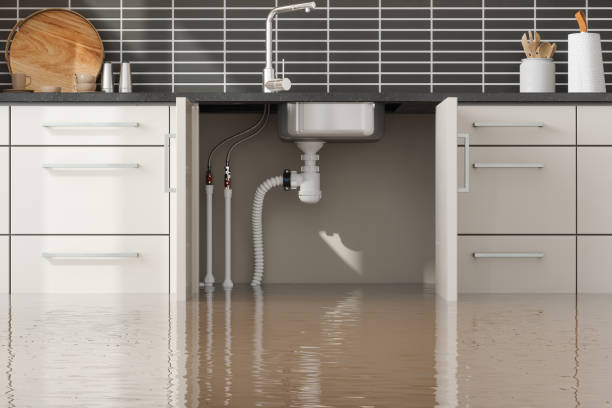 Best Ceiling water damage repair  in Sun City West, AZ