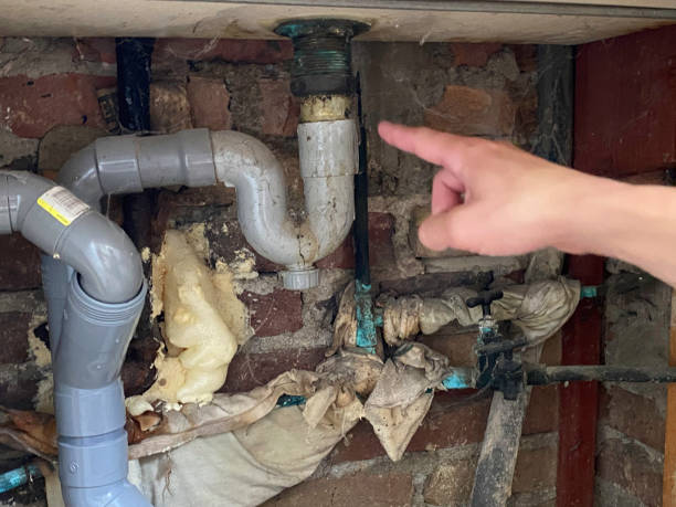 Best Flood restoration services  in Sun City West, AZ