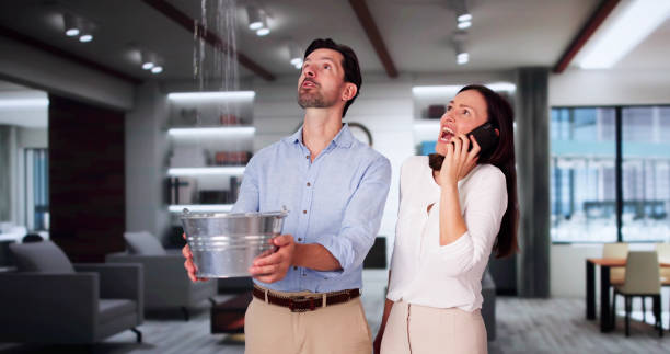 Best Emergency water extraction  in Sun City West, AZ