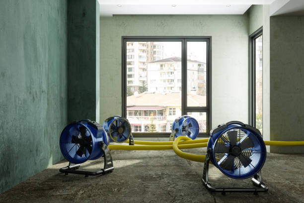 Best Commercial water damage restoration  in Sun City West, AZ