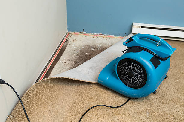 Best Water damage restoration near me  in Sun City West, AZ
